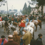 Festa di Sant'Antonio a Ferruccia