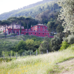 Fattoria di Vizzano