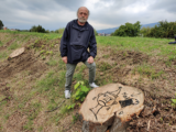I ceppi dipinti da Geniale Ruffa