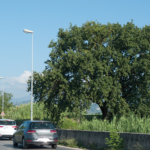 Quercia di Stazione: raggiunto un accordo