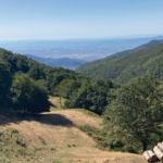 La Foresta dell'Acquerino Cantagallo