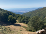 La Foresta dell'Acquerino Cantagallo