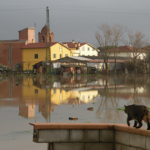 Alluvione dicembre 2009