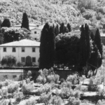 Festa di San Martino