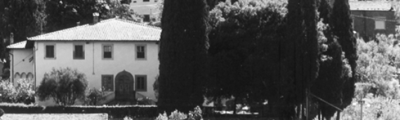 Festa di San Martino