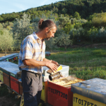 Denis Giovannetti - un apicoltore che rispetta la natura