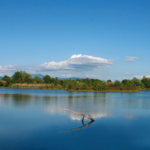 Area naturale La Querciola