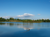 Area naturale La Querciola