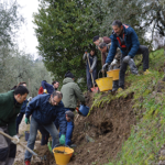 L'arte dei muretti a secco