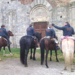 Cavalieri del Montalbano