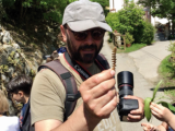 Massimiliano Petrolo - flora a fauna di Montale, Agliana e Quarrata