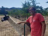 Lo zoo degli animali salvati