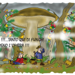 Tempo di funghi