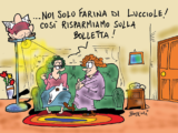 Farina di lucciole